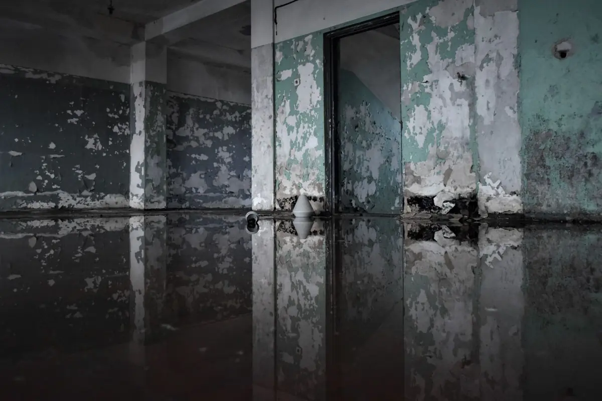 Standing floodwater inside a Sherman, TX home